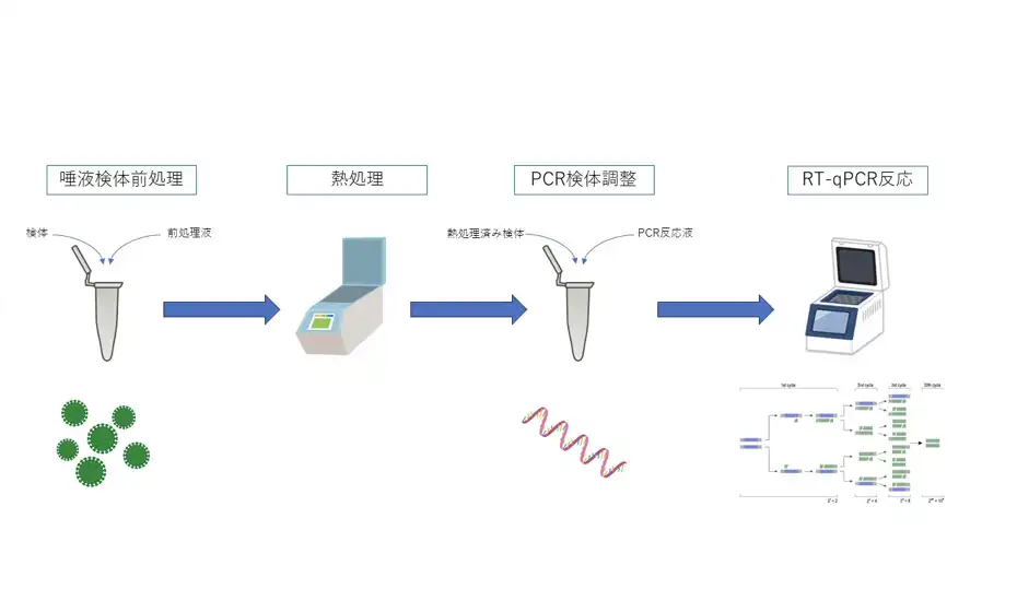 MDT 東京 PCR検査 | 検出キットRT-qPCRの流れ