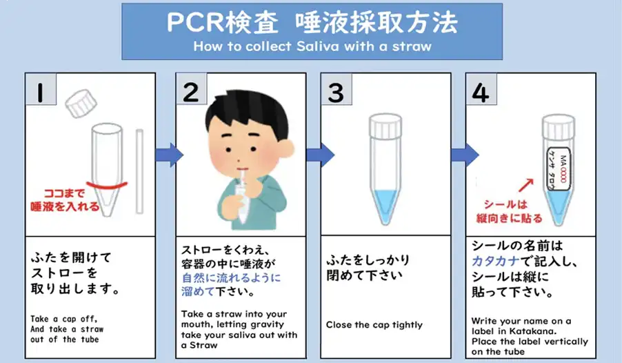 MDT東京 PCR | PCR検査 検体採取方法